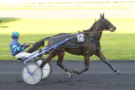 Actualités Hippiques